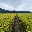 순흥농장 이미지