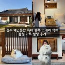 개편한 세상 | 경주 애견동반 독채 한옥 스테이 석류 감성가득 힐링후기
