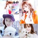 레인보우동물병원 이미지