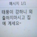 태풍 조심하라는 아들문자 이미지