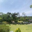 사계식당 | 아산 쭈꾸미맛집 사계쭈꾸미 솔직후기 (아산 아기랑식당, 아기의자 O)
