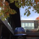 카페레아 이미지