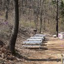 꽃무지풀무지유치원 이미지