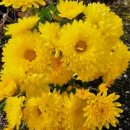 이국정서 이미지