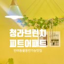 [청라 브런치맛집] 피트어패트 청라점 - 두근두근 감성 브런치 맛집, 애견동반 가능한 브런치 카페