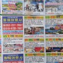 동해여행사