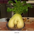 고고마 이미지