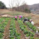 고천농장 이미지