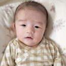 강현재