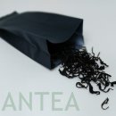 단티(DANTEA)