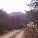 제천 왕박산