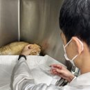 생생동물병원 이미지