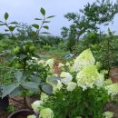 아침농장 이미지