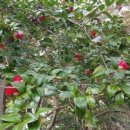 동백섬민박 이미지