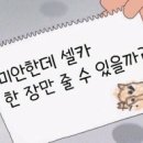 오팡 이미지