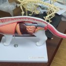 조은메디텍 이미지