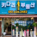 키다리부동산공인중개사사무소 이미지