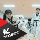 타이거즈 태권도 네이버블로그