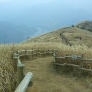 한물목장 Daum카페