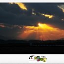 반도흑염소 농장 이미지