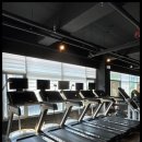 하운드짐 이미지