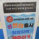 제주 함덕 | 활어회 포장의 결론은 유드림마트 - 함덕 활어회 포장 후기