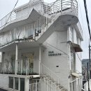 빵어니스타 이태원점 | 서울 이태원 빵어니스타 초당빙수 후기