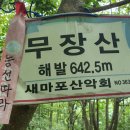 8월 제350차 정기산행 안내: 무장산(霧藏山) 청송군 이미지