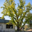 원당골 경로당 이미지