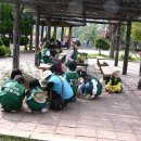 청평초등학교 이미지