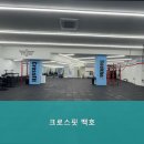 크로스핏백호 네이버블로그