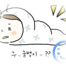프로비스타 가족호텔 네이버블로그