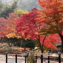 상주 성주봉 숲속의 광장