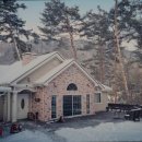 음악이흐르는숲 이미지