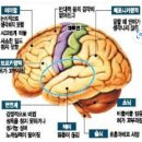 오늘의 포토뉴스 2023.05.29.(월) 이미지