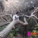 분당-396 이미지