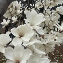 밥풀떼기 이미지