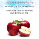 청송사과, 그 맛의 비밀을 파헤쳐보아요!