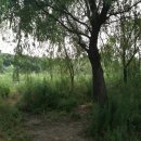 난지빗물펌프장 이미지