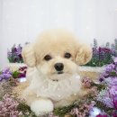 그루멍 이미지