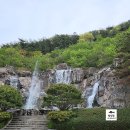 불갑저수지 수변공원 이미지