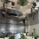 동화소공원 | 강남 수서역 더샵갤러리 무료 전시 사전예약