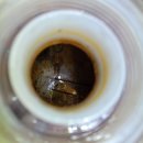 수원 카닥터 이미지