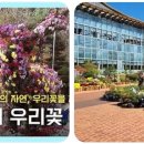 우리꽃식물원, 한국의 아름다움을 담은 정원
