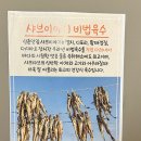 신촌샤브샤브 | 신촌 샤브샤브 맛집 샤브이야기 신촌기차역점 후기