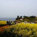 부안 변산반도국립공원에서 만난 적벽강과 유채밭,그리고 수성당에서 바라본 탁트인 바다와 함께 행복한 힐링을 이미지