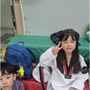포올 태권도 운동발달 센터 네이버블로그