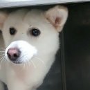 용종농장 이미지