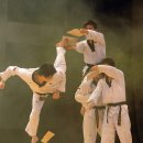 성우태권도장 이미지