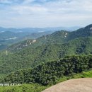 윗사기막 이미지